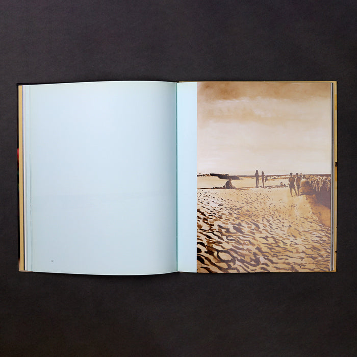 Ikon Ikon Caro Niederer: Living With Art