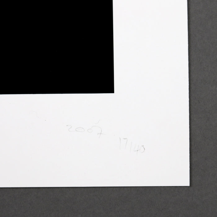 Ikon Ikon Cornelia Parker