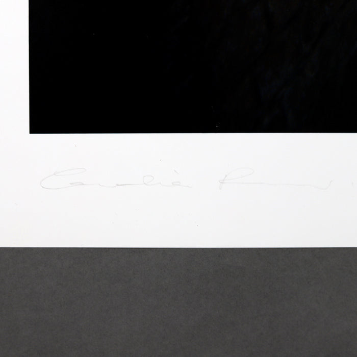 Ikon Ikon Cornelia Parker