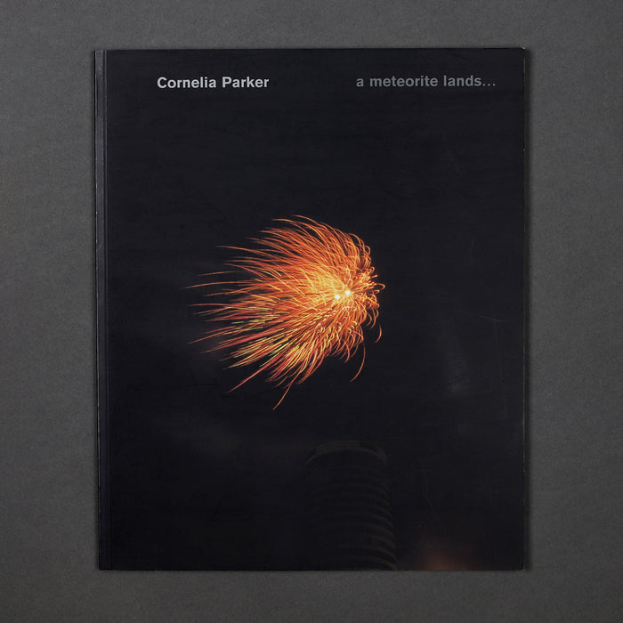 ikon Ikon Cornelia Parker: a meteorite lands