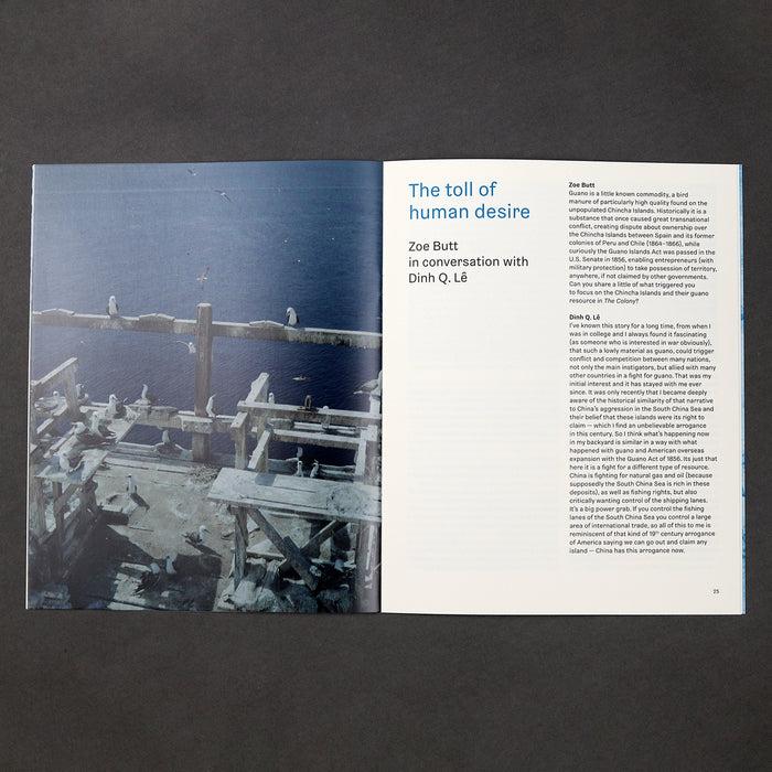 Ikon Ikon Dinh Q. Lê: The Colony