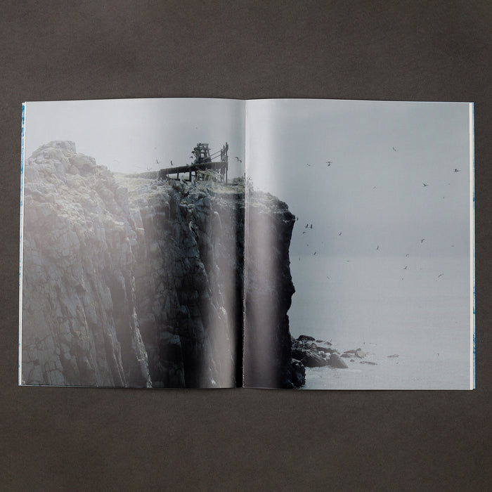 Ikon Ikon Dinh Q. Lê: The Colony