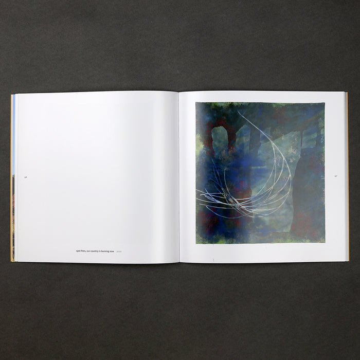 Ikon Ikon Judy Watson