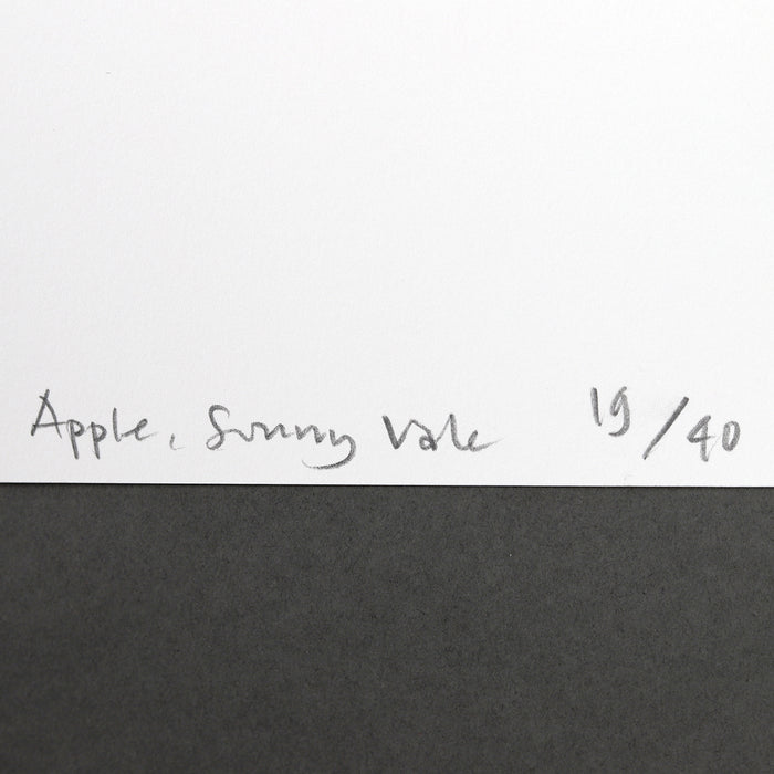 Ikon Ikon Langlands & Bell: Apple Sunny Vale