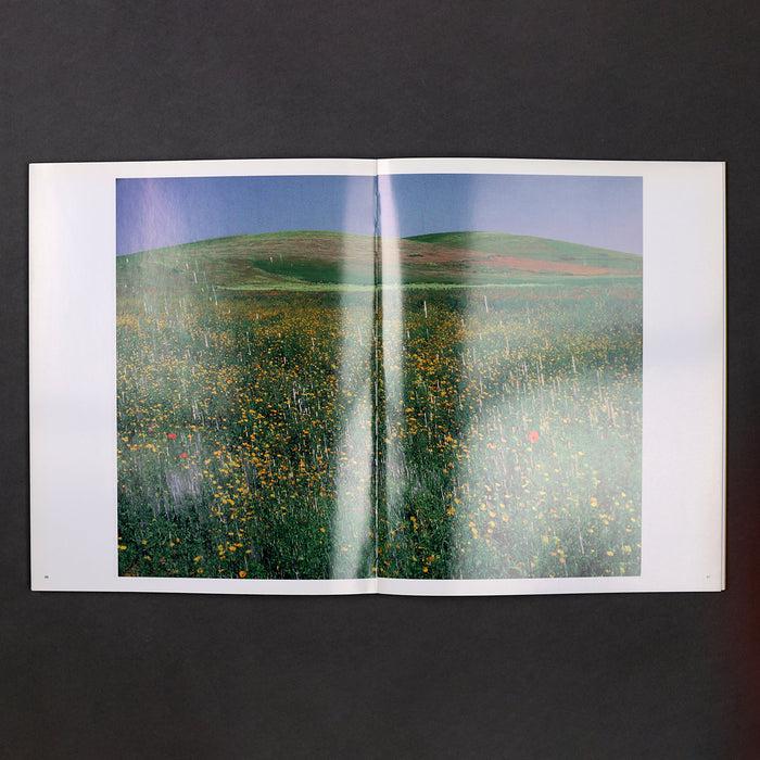 Ikon Ikon Marijke Van Warmerdam