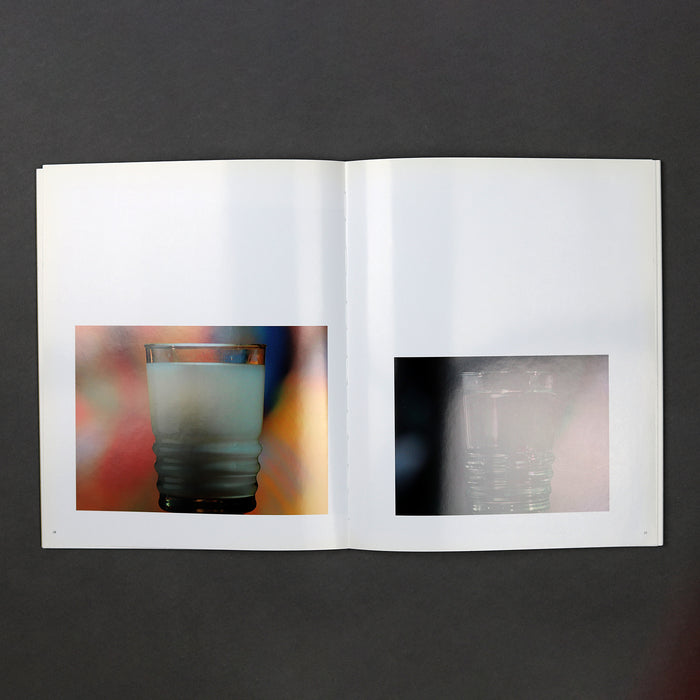 Ikon Ikon Marijke Van Warmerdam