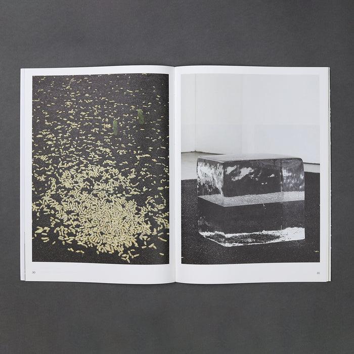 Ikon Ikon Michel Francois: Pieces Of Evidence