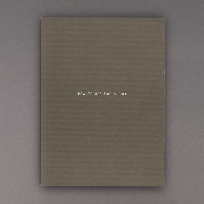 ikon Ikon Sarah Browne: How To Use Fools Gold