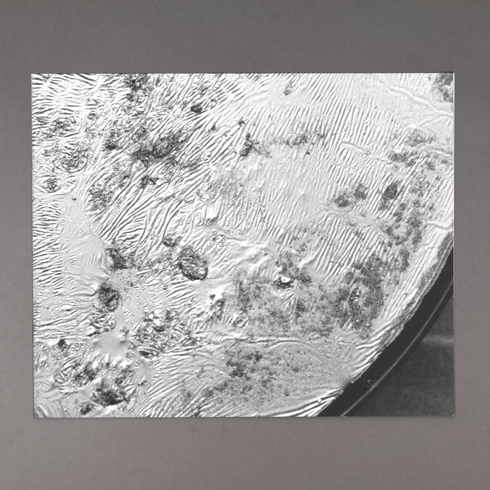 ikon Ikon Shelagh Wakely: Gold Dust