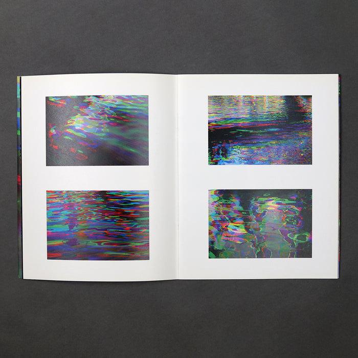 Ikon Ikon Tim Maguire: Snow Water And Flowers