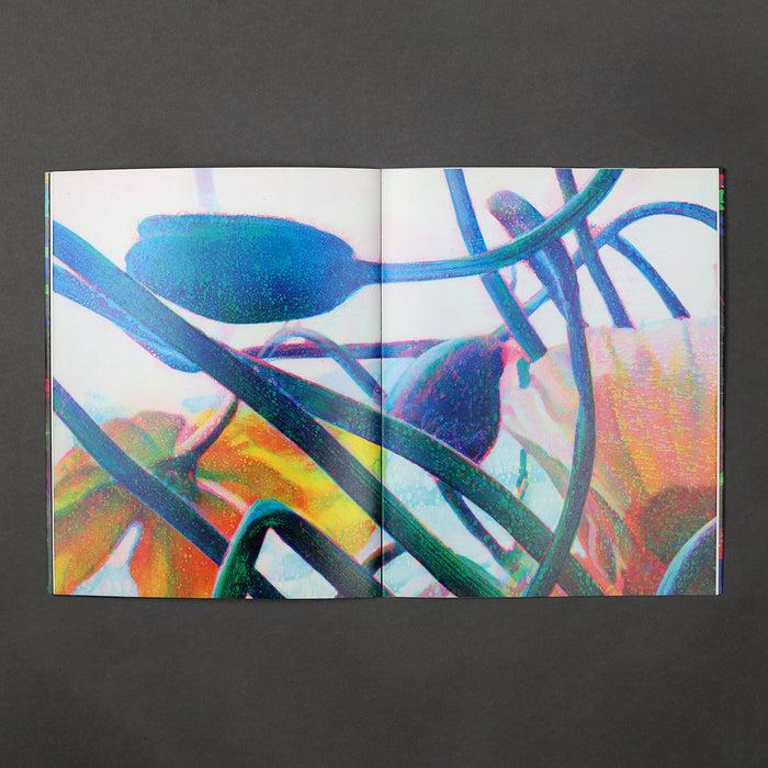 Ikon Ikon Tim Maguire: Snow Water And Flowers