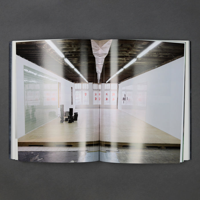 Ikon Ikon Matias Faldbakken: Shocked Into Abstraction