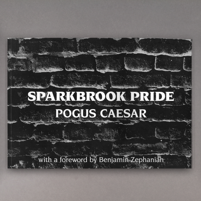 ikon Oom Gallery Sparkbrook Pride: Pogus Caesar