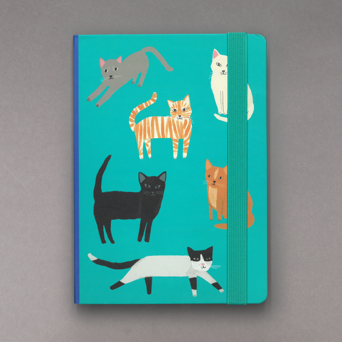 ikon Roger La Borde Green Cat A5 Hardback Journal