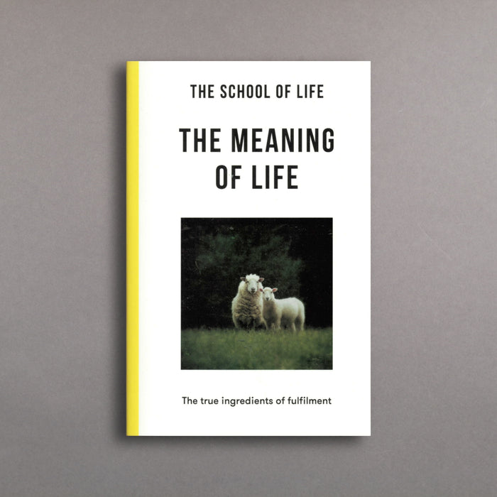 ikon The School of Life The Meaning of Life