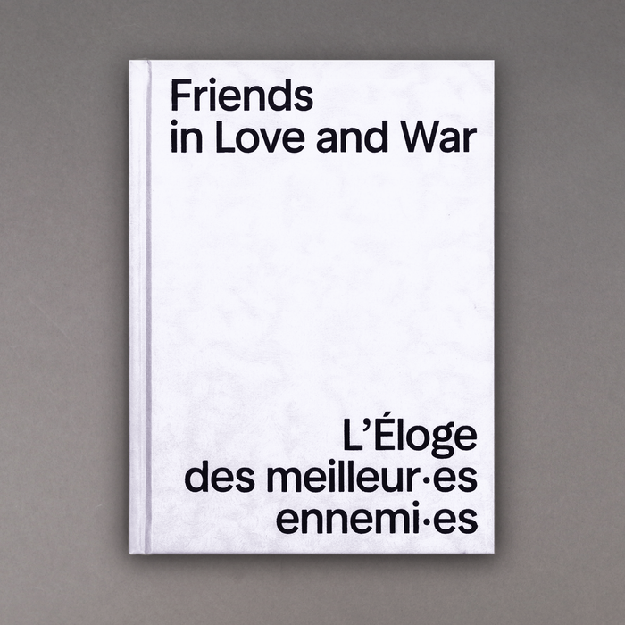 ikon Musée d'art contemporain - MAC Lyon Friends in Love and War