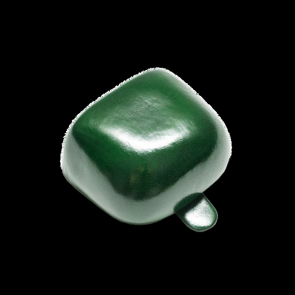 il bussetto Case for Wireless Earbuds 3 forestgreen