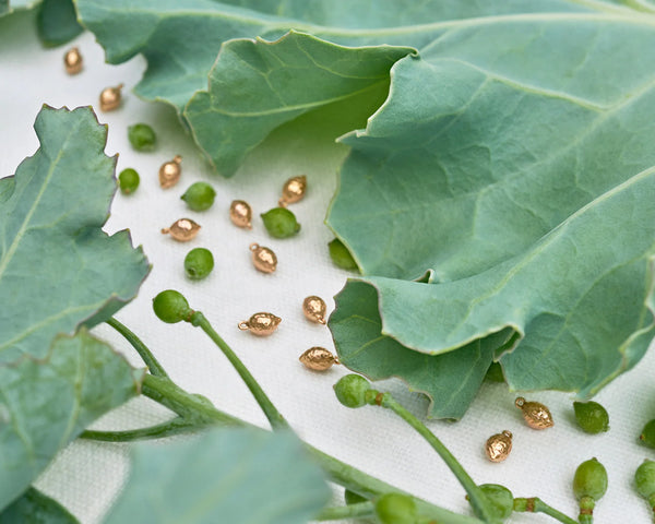Ileana Makri 18k Rose Gold Sea Kale Seed Pendant