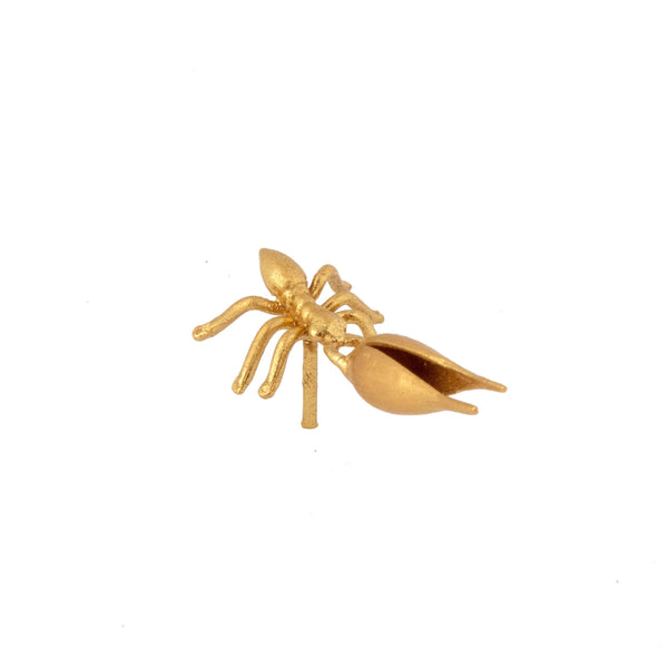Ileana Makri Ant Carrying Wheat Stud