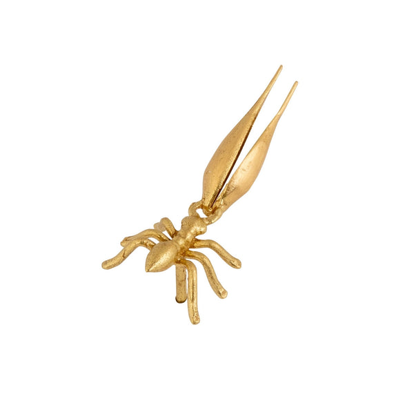 ileana makri Ant Carrying Wheat Stud