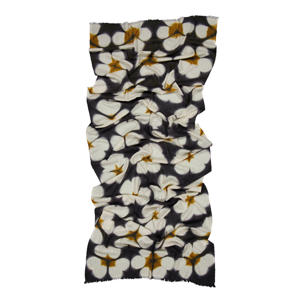 Ileana Makri Beliss Scarf Black & Gold