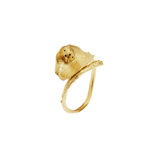 ileana makri Ladybird on Leaf Ring