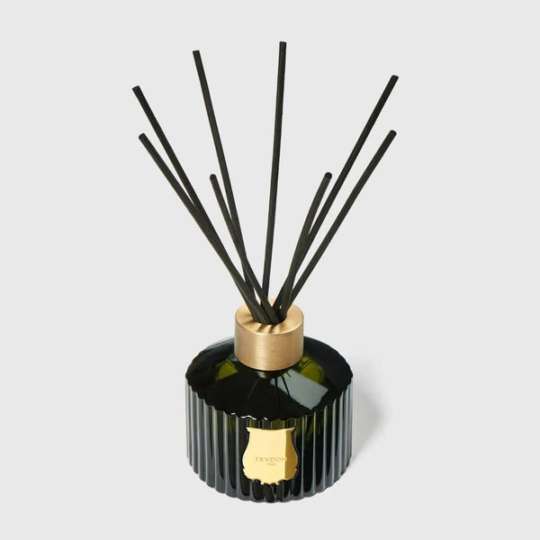 Ileana Makri Le Diffuseur SPIRITUS SANCTI