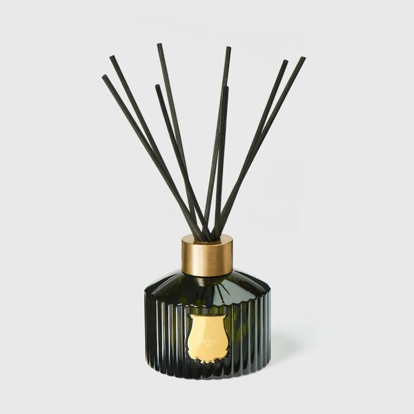 ileana makri Le Diffuseur SPIRITUS SANCTI