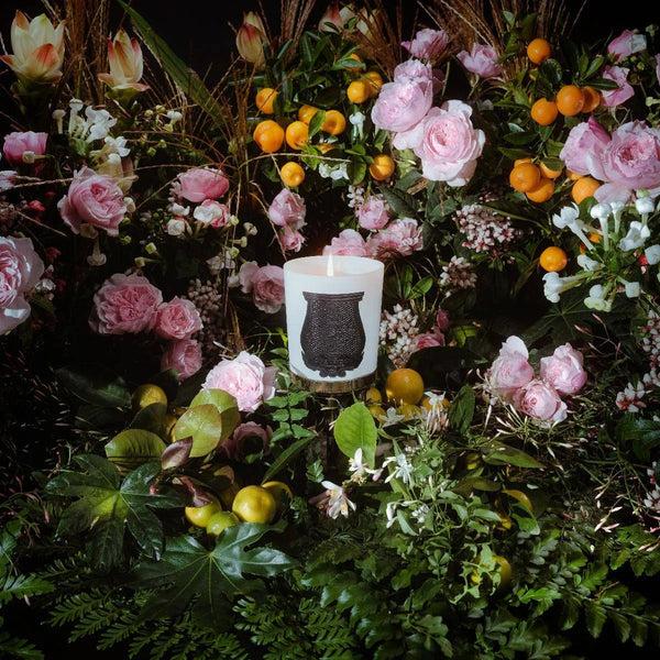 Ileana Makri ROSE POIVRE Giambattista Valli