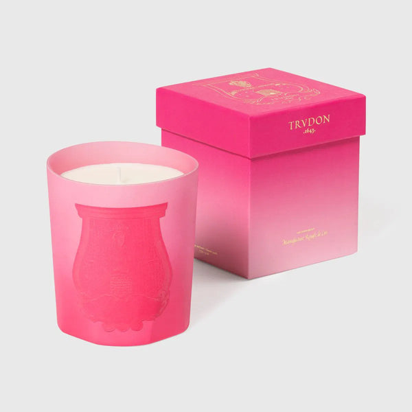 ileana makri Summer Haze - Rose Cake