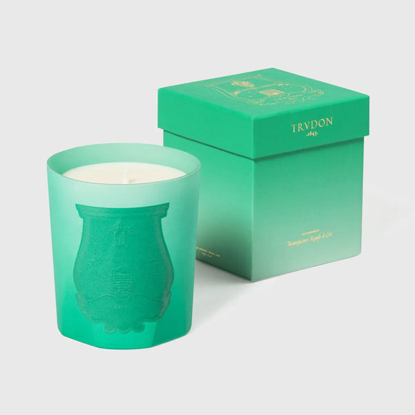 ileana makri Under the Trees - Herbal Infusion