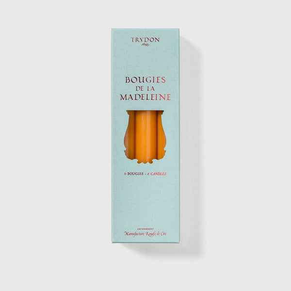 Ileana Makri Mimosa Madeleine Tapered Candles (Box Of 6)