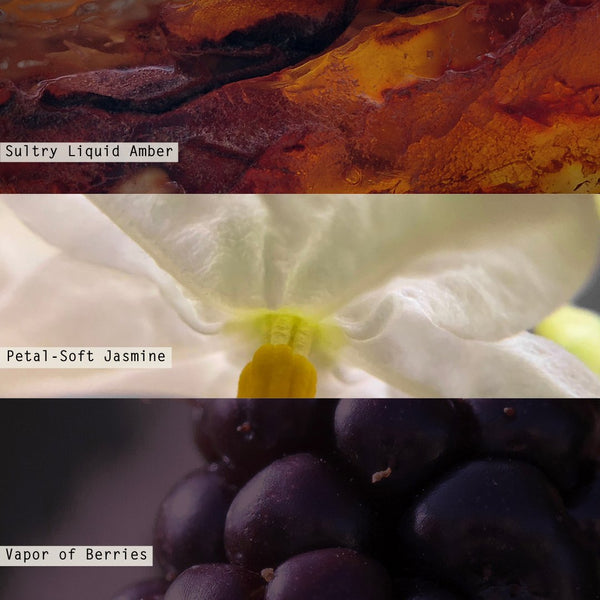 Illume Blackberry Absinthe Refillable Aromatic Diffuser