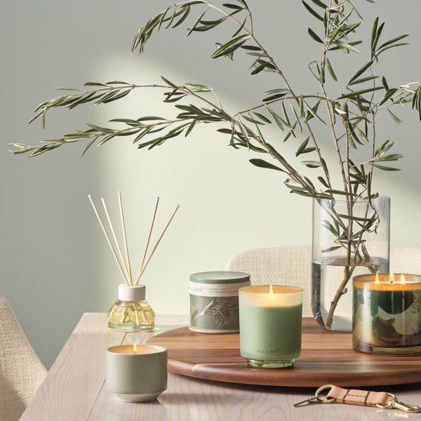 Illume Assorted Sage Green Candle Tapers 3-Pack