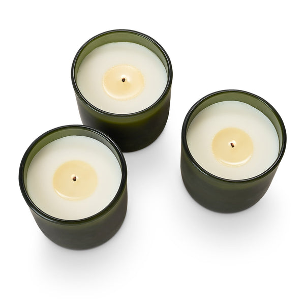 Illume Balsam & Cedar Candle Trio Gift Set
