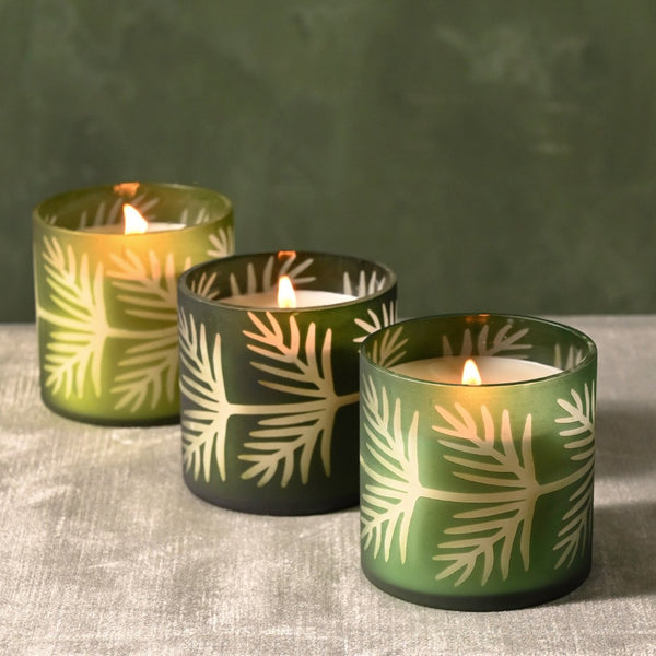 Illume Balsam & Cedar Pine Glass Candle