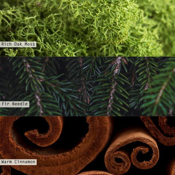 Illume Balsam & Cedar Small Aromatic Diffuser