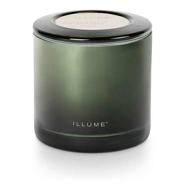 illume Balsam & Cedar Statement Glass Candle