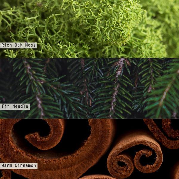 Illume Balsam & Cedar Winsome Diffuser