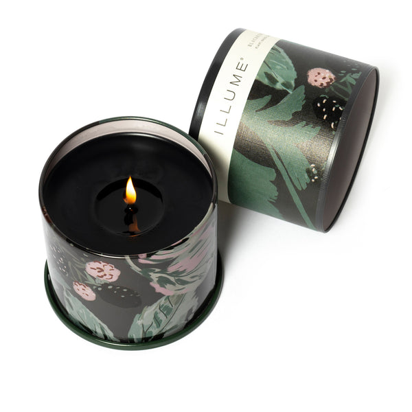Illume Blackberry Absinthe Vanity Tin Candle