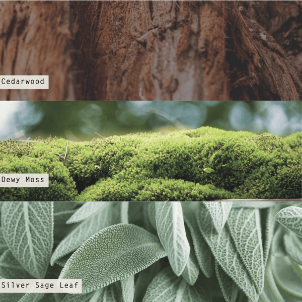 Illume Borealis Moss Aromatic Diffuser