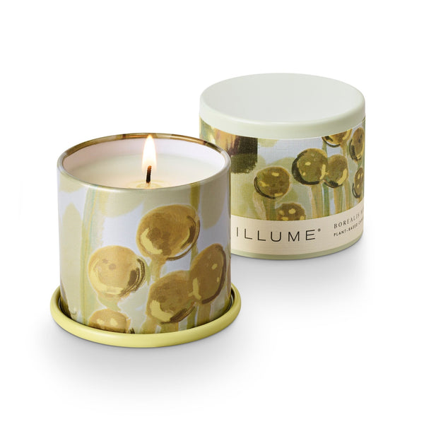 Illume Borealis Moss Demi Vanity Tin Candle