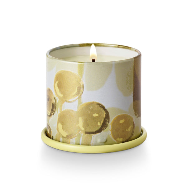 Illume Borealis Moss Demi Vanity Tin Candle