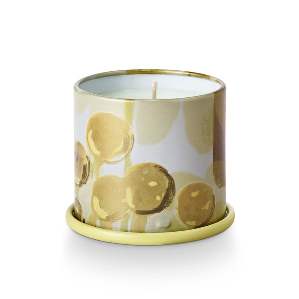 Illume Borealis Moss Demi Vanity Tin Candle