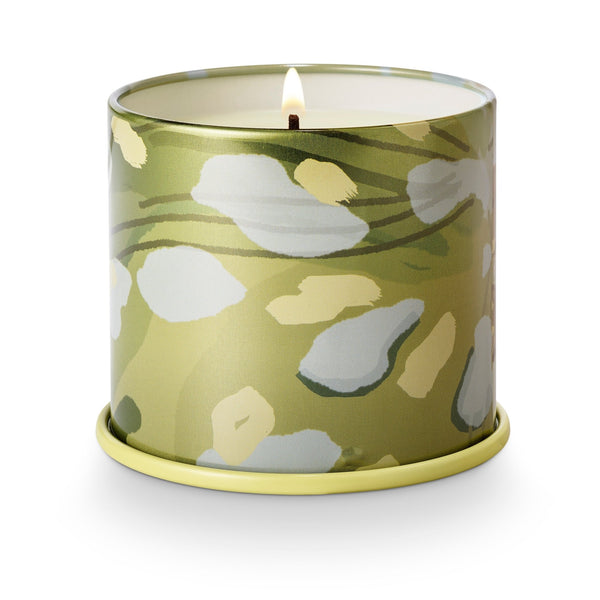 Illume Borealis Moss Vanity Tin Candle