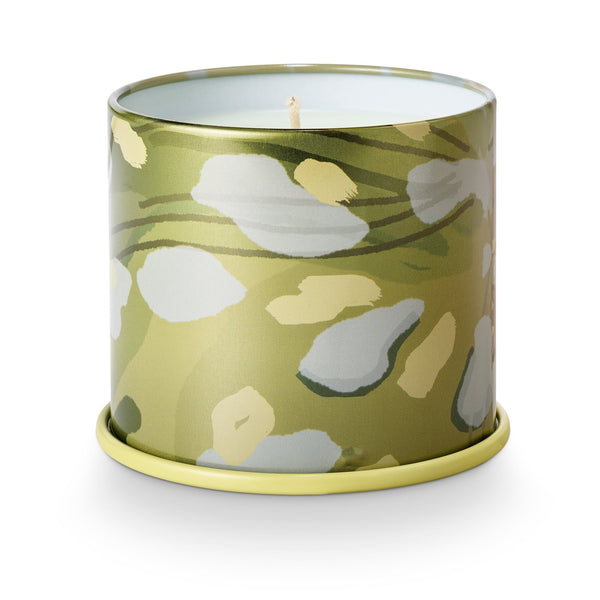 Illume Borealis Moss Vanity Tin Candle