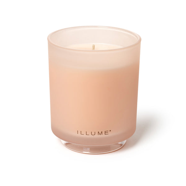Illume Coconut Milk Mango Boxed Glass Candle