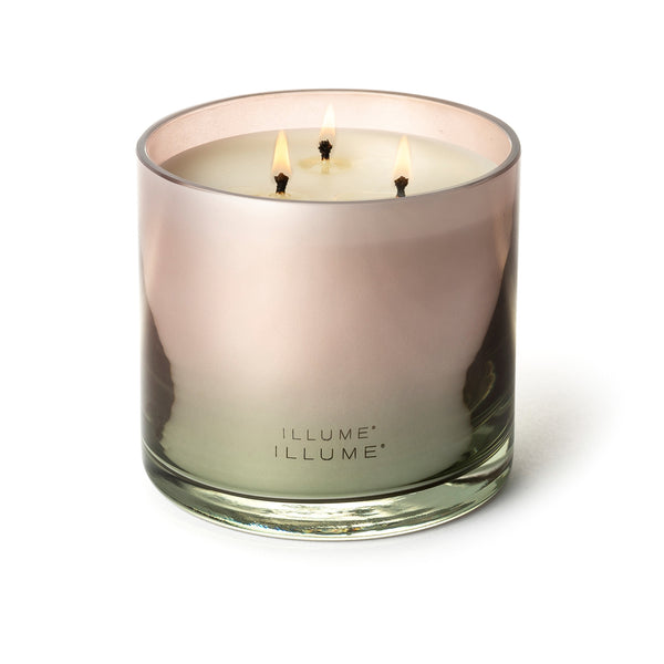 Illume Coconut Milk Mango Statement Glass Candle