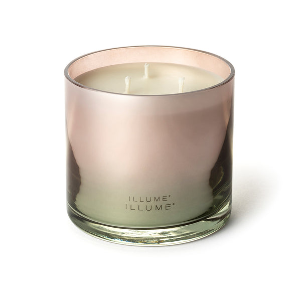 Illume Coconut Milk Mango Statement Glass Candle