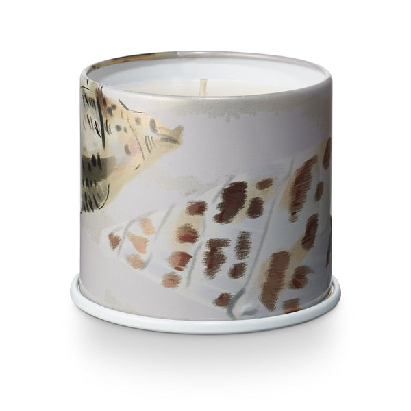 Illume Driftwood Vanity Tin Candle